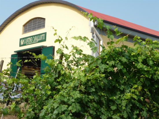 Entrata Cantine Cavallotti